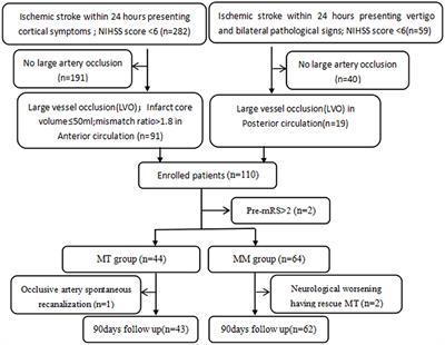 Mechanical Thrombectomy for Acute Stroke Due to Large-Vessel Occlusion Presenting With Mild Symptoms